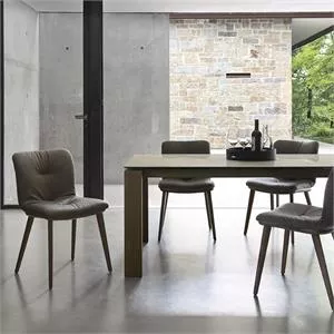 Annie Set Of Two Dining Chairs CS1846